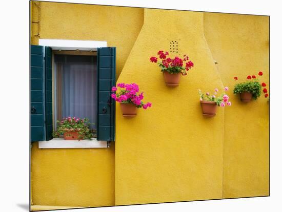 Colorful Burano City Homes, Italy-Terry Eggers-Mounted Photographic Print