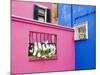 Colorful Burano City Homes, Italy-Terry Eggers-Mounted Photographic Print