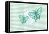 Colorful Butterflies I-Andi Metz-Framed Stretched Canvas