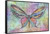 Colorful Butterfly-Cora Niele-Framed Stretched Canvas