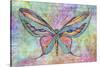 Colorful Butterfly-Cora Niele-Stretched Canvas