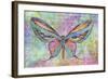 Colorful Butterfly-Cora Niele-Framed Giclee Print