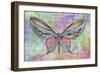 Colorful Butterfly-Cora Niele-Framed Giclee Print