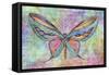 Colorful Butterfly-Cora Niele-Framed Stretched Canvas