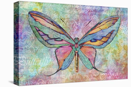 Colorful Butterfly-Cora Niele-Stretched Canvas