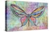 Colorful Butterfly-Cora Niele-Stretched Canvas