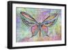 Colorful Butterfly-Cora Niele-Framed Premium Giclee Print