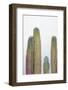 Colorful cactus. Cabo San Lucas, Mexico.-Julien McRoberts-Framed Photographic Print