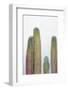 Colorful cactus. Cabo San Lucas, Mexico.-Julien McRoberts-Framed Photographic Print