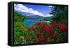 Colorful Caribbean View, St John, Virgin Islands-George Oze-Framed Stretched Canvas