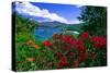 Colorful Caribbean View, St John, Virgin Islands-George Oze-Stretched Canvas