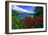 Colorful Caribbean View, St John, Virgin Islands-George Oze-Framed Photographic Print