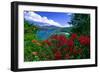 Colorful Caribbean View, St John, Virgin Islands-George Oze-Framed Photographic Print