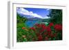 Colorful Caribbean View, St John, Virgin Islands-George Oze-Framed Photographic Print