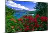 Colorful Caribbean View, St John, Virgin Islands-George Oze-Mounted Photographic Print