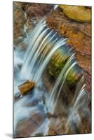 Colorful Cascade on Oberlin Creek in Glacier National Park, Montana, Usa-Chuck Haney-Mounted Photographic Print