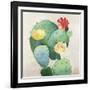 Colorful Catus-Asia Jensen-Framed Art Print