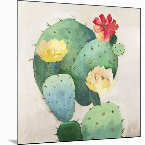 Colorful Catus-Asia Jensen-Mounted Art Print