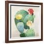 Colorful Catus-Asia Jensen-Framed Art Print