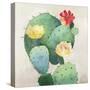 Colorful Catus-Asia Jensen-Stretched Canvas