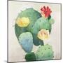 Colorful Catus-Asia Jensen-Mounted Art Print