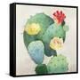 Colorful Catus-Asia Jensen-Framed Stretched Canvas