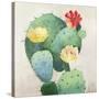 Colorful Catus-Asia Jensen-Stretched Canvas
