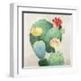 Colorful Catus-Asia Jensen-Framed Art Print