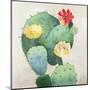 Colorful Catus-Asia Jensen-Mounted Art Print