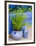 Colorful Ceramic Pots, San Miguel De Allende, Guanajuato State, Mexico-Julie Eggers-Framed Photographic Print