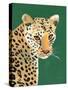 Colorful Cheetah on Emerald-Pamela Munger-Stretched Canvas