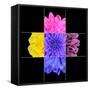 Colorful Chrysanthemum Flower Mosaic Design-tr3gi-Framed Stretched Canvas