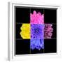 Colorful Chrysanthemum Flower Mosaic Design-tr3gi-Framed Premium Giclee Print