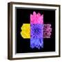 Colorful Chrysanthemum Flower Mosaic Design-tr3gi-Framed Art Print