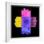 Colorful Chrysanthemum Flower Mosaic Design-tr3gi-Framed Art Print