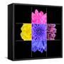 Colorful Chrysanthemum Flower Mosaic Design-tr3gi-Framed Stretched Canvas