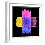 Colorful Chrysanthemum Flower Mosaic Design-tr3gi-Framed Art Print