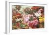 Colorful Chrysanthemums-Henry Bonnefoy-Framed Giclee Print