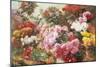 Colorful Chrysanthemums-Henry Bonnefoy-Mounted Giclee Print