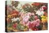 Colorful Chrysanthemums-Henry Bonnefoy-Stretched Canvas