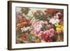 Colorful Chrysanthemums-Henry Bonnefoy-Framed Giclee Print
