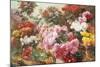 Colorful Chrysanthemums-Henry Bonnefoy-Mounted Giclee Print