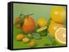 Colorful Citrus Fruit-Ulrike Koeb-Framed Stretched Canvas