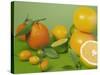 Colorful Citrus Fruit-Ulrike Koeb-Stretched Canvas