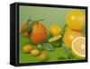 Colorful Citrus Fruit-Ulrike Koeb-Framed Stretched Canvas