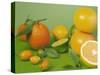 Colorful Citrus Fruit-Ulrike Koeb-Stretched Canvas