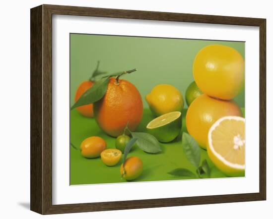 Colorful Citrus Fruit-Ulrike Koeb-Framed Photographic Print