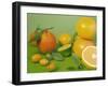 Colorful Citrus Fruit-Ulrike Koeb-Framed Photographic Print