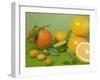 Colorful Citrus Fruit-Ulrike Koeb-Framed Photographic Print