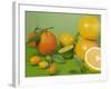 Colorful Citrus Fruit-Ulrike Koeb-Framed Photographic Print